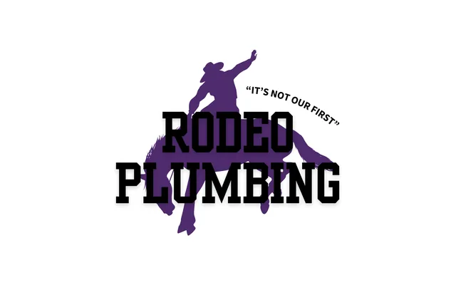Rodeo Plumbing project by Inphint
